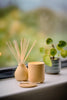Colourful Scented Candle | Mayan Vanilla
