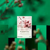 Natural Sheet Mask | Plantive Blossom