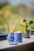 Colourful Reed Diffuser | Amalfi Lemon