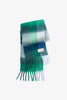 Recycled Soft Scarf | Reykjavik Emerald Check