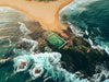 The Nature of Swimming (Updated Edition)