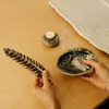 Turkey Feather