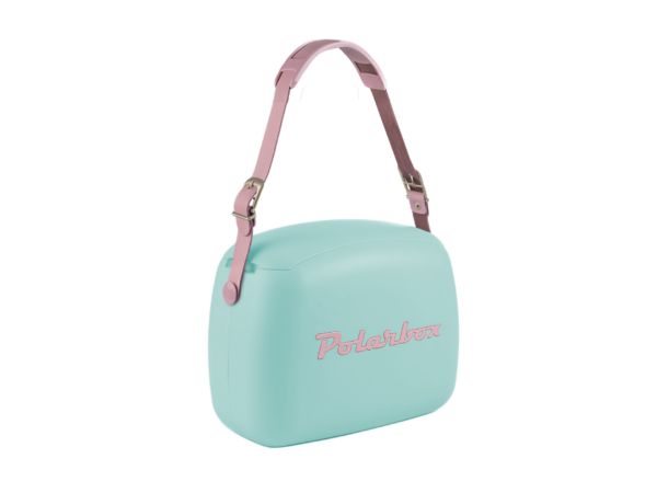 Colourful Retro Coolbox | Aqua + Rose Pop 6L