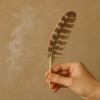 Turkey Feather