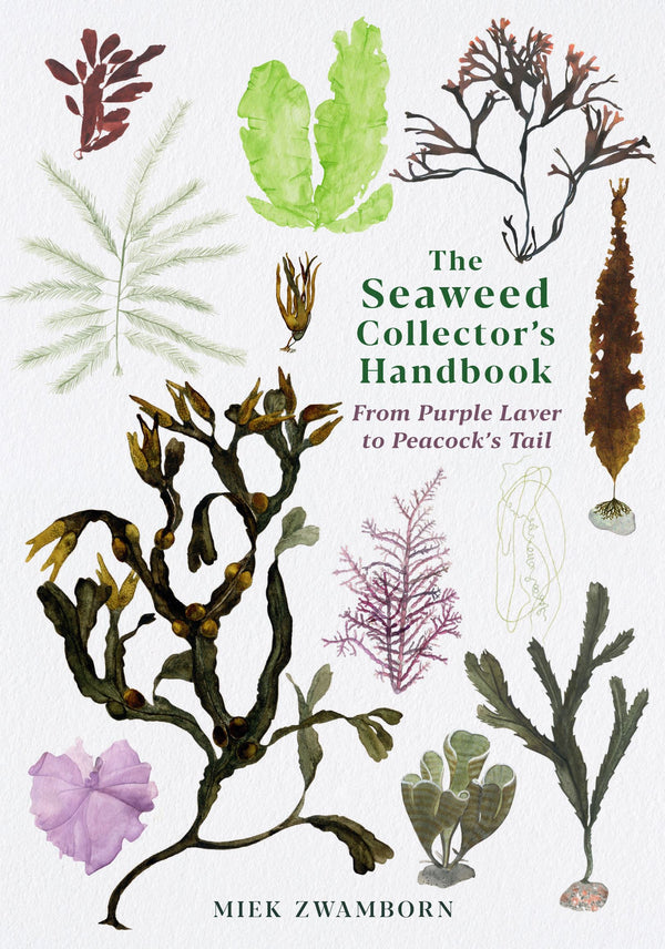 Curated Paperback Book | The Seaweed Collector's Handbook