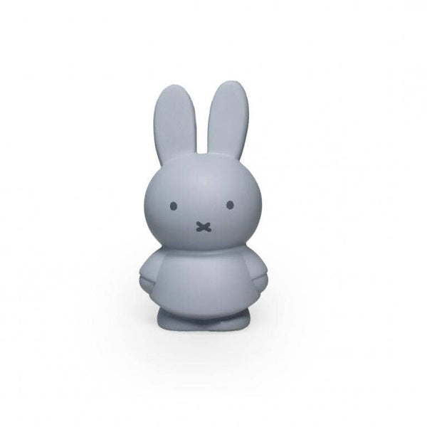 Colourful Money Box | Large Sea Blue Miffy