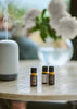 Aromatherapy Oil Blends | Wonderland Set