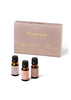 Aromatherapy Oil Blends | Wanderlust Set