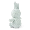 Colourful Terry Plush | Small Soft Green Miffy