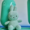 Colourful Terry Plush | Small Soft Green Miffy