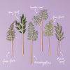 Botanical Wooden Decoration | Fan Fern