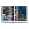 The Nature of Swimming (Updated Edition)