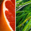 Renewing Body Polish | Grapefruit + Seagrass - NØRDEN